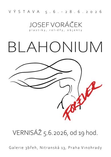 Vernisáž Josef Voráček